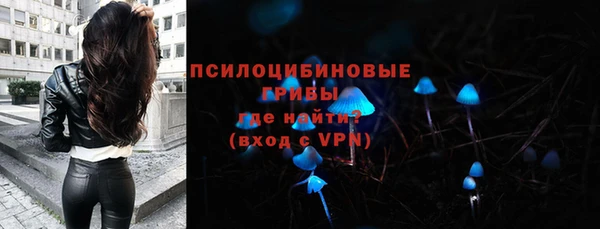 гидропоника Гусев