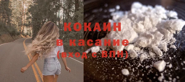 крисы Гусь-Хрустальный