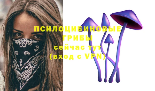 крисы Гусь-Хрустальный