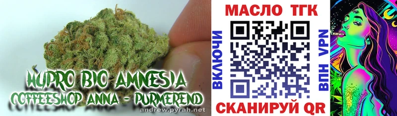 ТГК вейп с тгк  сколько стоит  Рошаль 