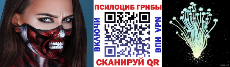 Галлюциногенные грибы MAGIC MUSHROOMS  Рошаль 